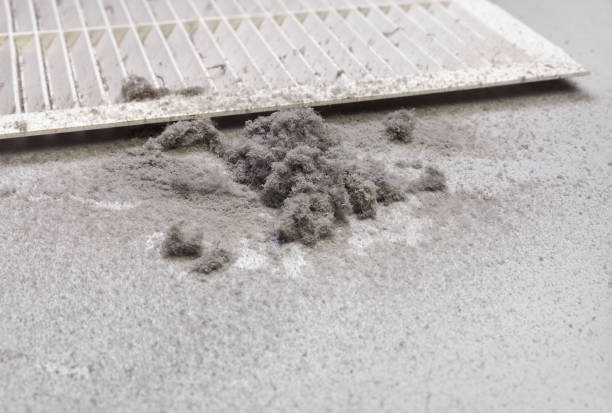 Best Air Duct Sanitizing Services  in Tok, AK