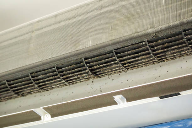 Best Affordable Duct Cleaning Services  in Tok, AK