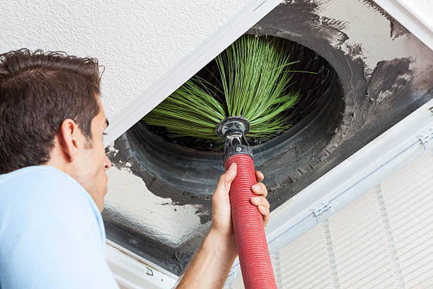 Best Professional Duct Cleaning Services  in Tok, AK